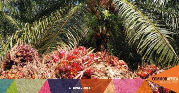 Comment démarrer une entreprise exportant de l'huile de palme du Nigéria